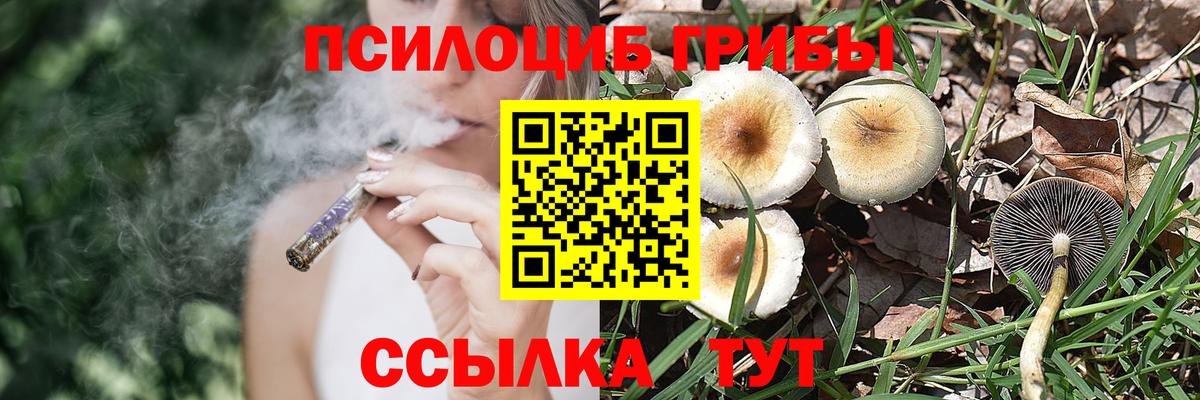 Псилоцибиновые грибы Magic Shrooms  Галлюциногенные грибы MAGIC MUSHROOMS  Ногинск  Вход с VPN 