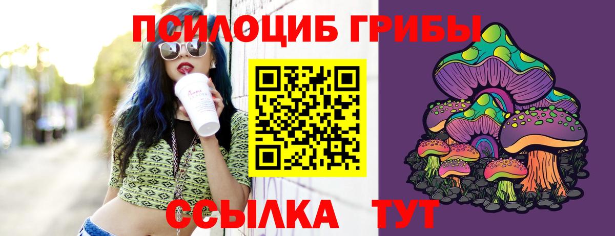 Псилоцибиновые грибы прущие грибы Ногинск